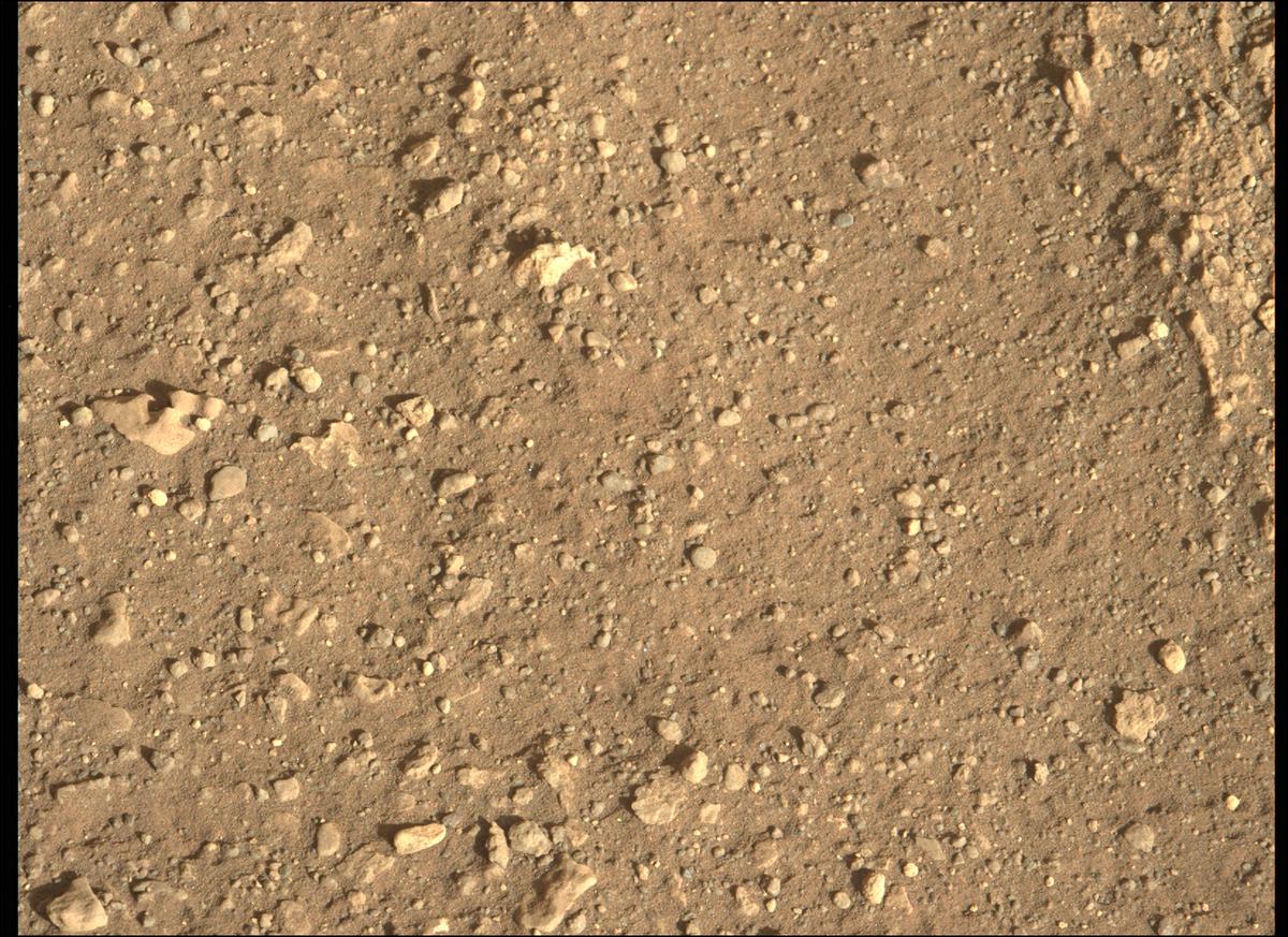This image was taken by MCZ_LEFT onboard NASA's Mars rover Perseverance on Sol 2