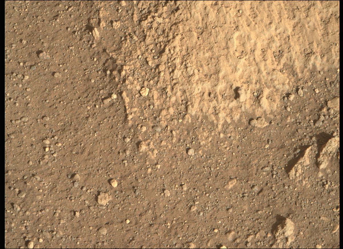 This image was taken by MCZ_RIGHT onboard NASA's Mars rover Perseverance on Sol 2