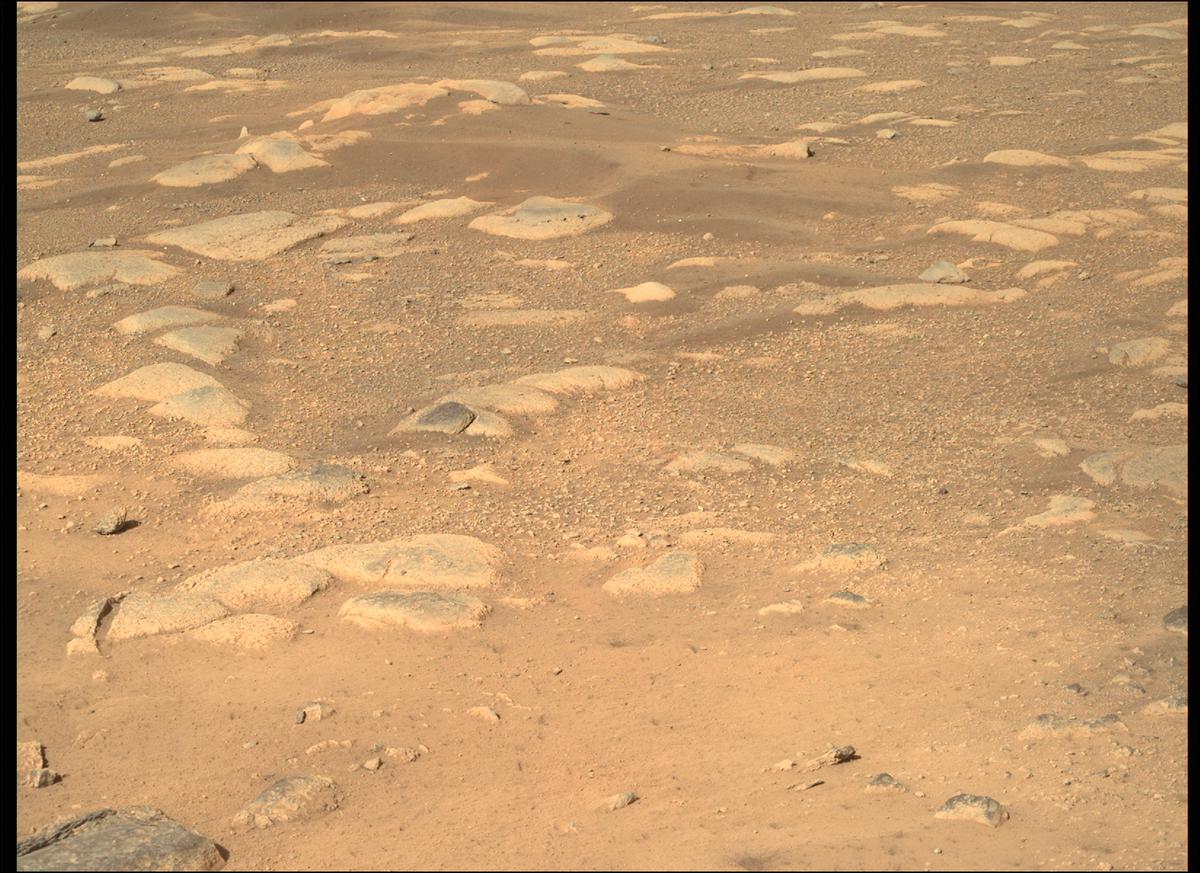 This image was taken by MCZ_RIGHT onboard NASA's Mars rover Perseverance on Sol 11