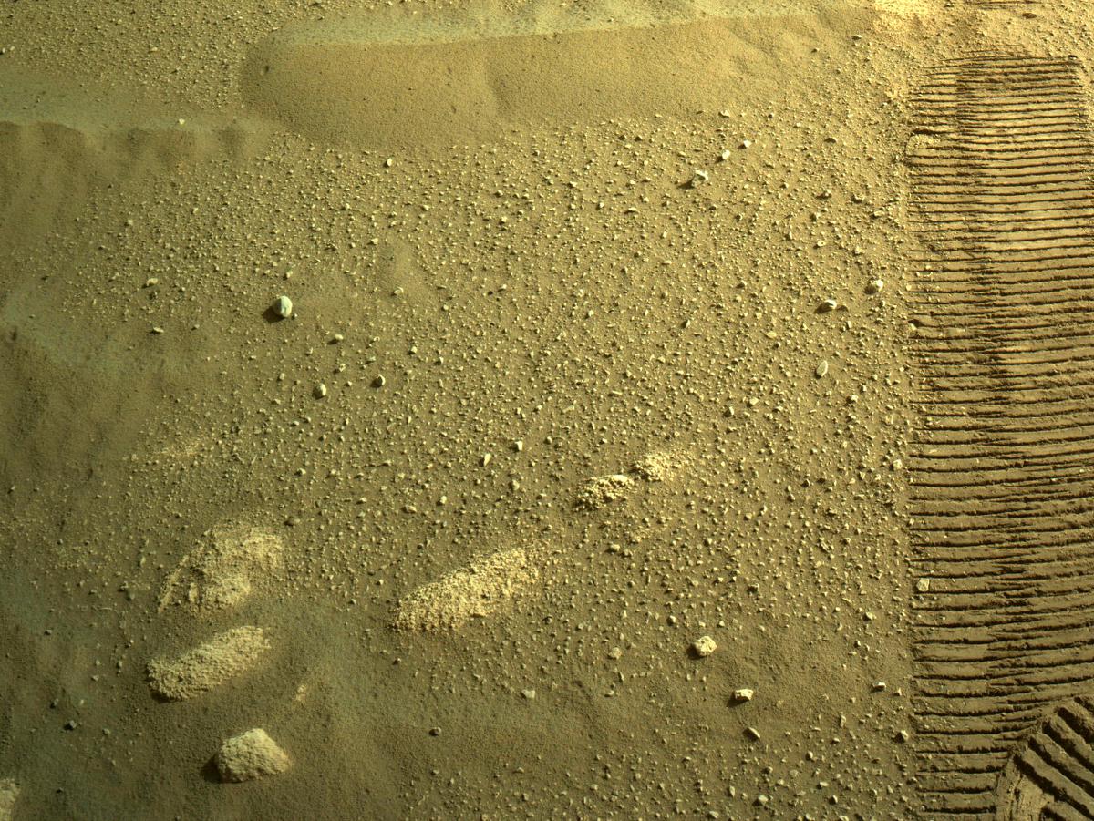 This image was taken by NAVCAM_LEFT onboard NASA's Mars rover Perseverance on Sol 15