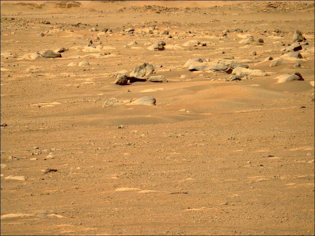 This image was taken by MCZ_RIGHT onboard NASA's Mars rover Perseverance on Sol 15