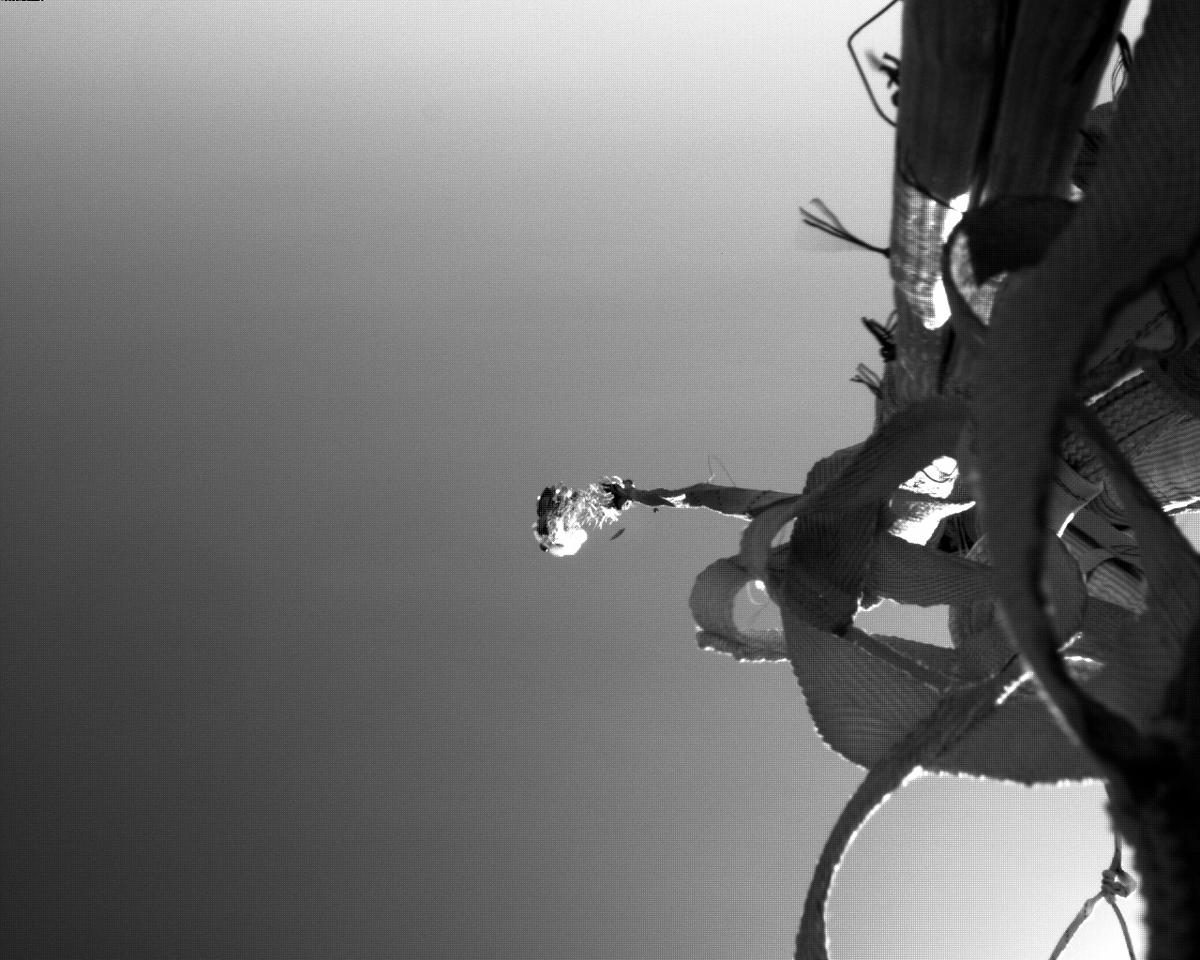 This image was taken by EDL_PUCAM1 onboard NASA's Mars rover Perseverance on Sol 20