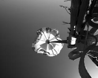 View image taken on Mars, Mars Perseverance Sol 20: Parachute Up-Look Camera A