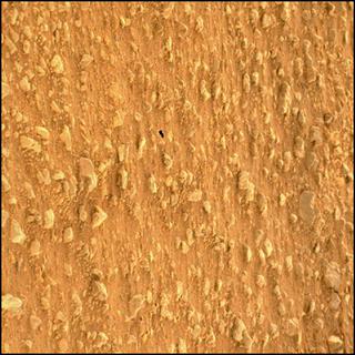 View image taken on Mars, Mars Perseverance Sol 21: WATSON Camera 