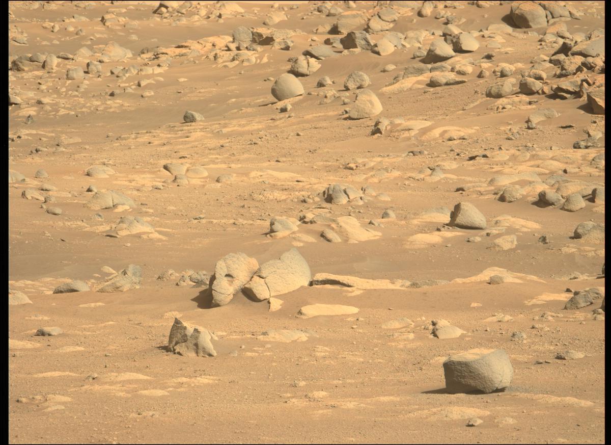 This image was taken by MCZ_LEFT onboard NASA's Mars rover Perseverance on Sol 22