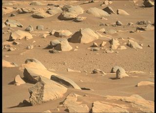 View image taken on Mars, Mars Perseverance Sol 22: Left Mastcam-Z Camera
