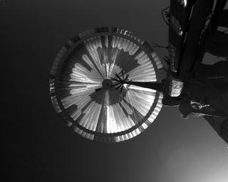 View image taken on Mars, Mars Perseverance Sol 25: Parachute Up-Look Camera A