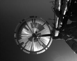 View image taken on Mars, Mars Perseverance Sol 25: Parachute Up-Look Camera A