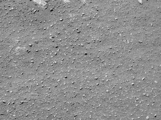 View image taken on Mars, Mars Perseverance Sol 28: Right Navigation Camera (Navcam)