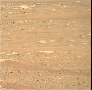 View image taken on Mars, Mars Perseverance Sol 29: Right Mastcam-Z Camera