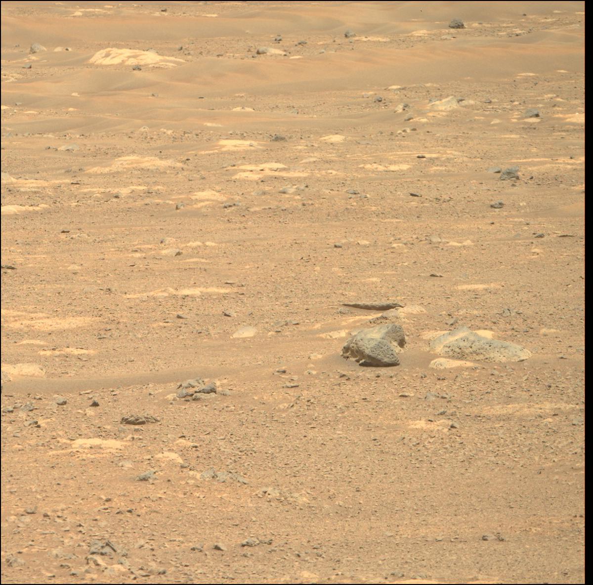 This image was taken by MCZ_RIGHT onboard NASA's Mars rover Perseverance on Sol 29