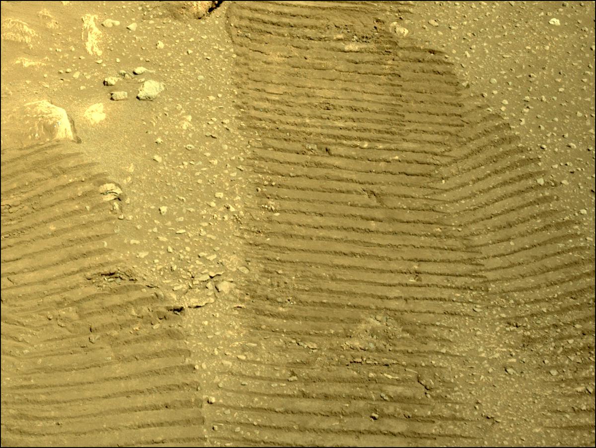 This image was taken by NAVCAM_RIGHT onboard NASA's Mars rover Perseverance on Sol 31