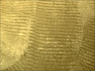 View image taken on Mars, Mars Perseverance Sol 31: Right Navigation Camera (Navcam)