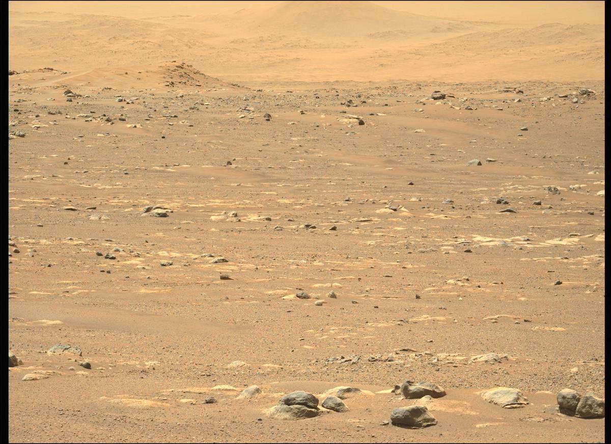 This image was taken by MCZ_LEFT onboard NASA's Mars rover Perseverance on Sol 31