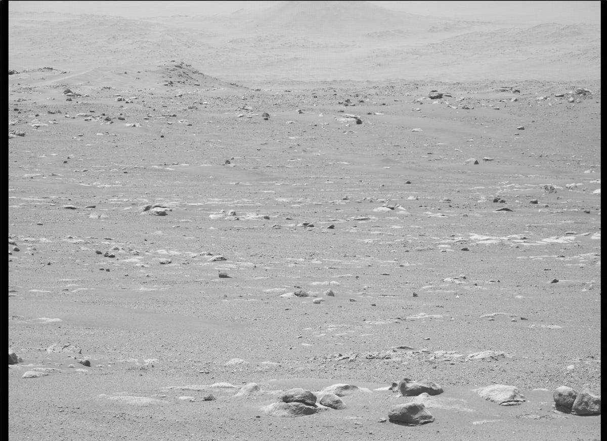 This image was taken by MCZ_LEFT onboard NASA's Mars rover Perseverance on Sol 31