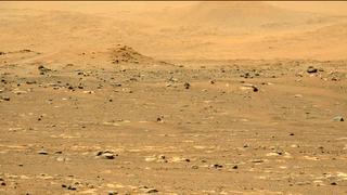 View image taken on Mars, Mars Perseverance Sol 31: Left Mastcam-Z Camera