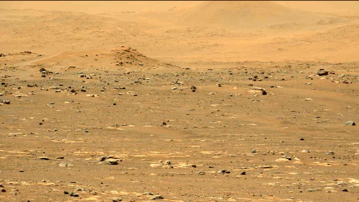 This image was taken by MCZ_LEFT onboard NASA's Mars rover Perseverance on Sol 31