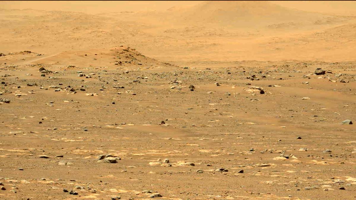 This image was taken by MCZ_LEFT onboard NASA's Mars rover Perseverance on Sol 31