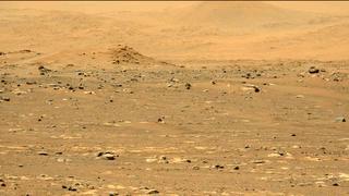 View image taken on Mars, Mars Perseverance Sol 31: Left Mastcam-Z Camera