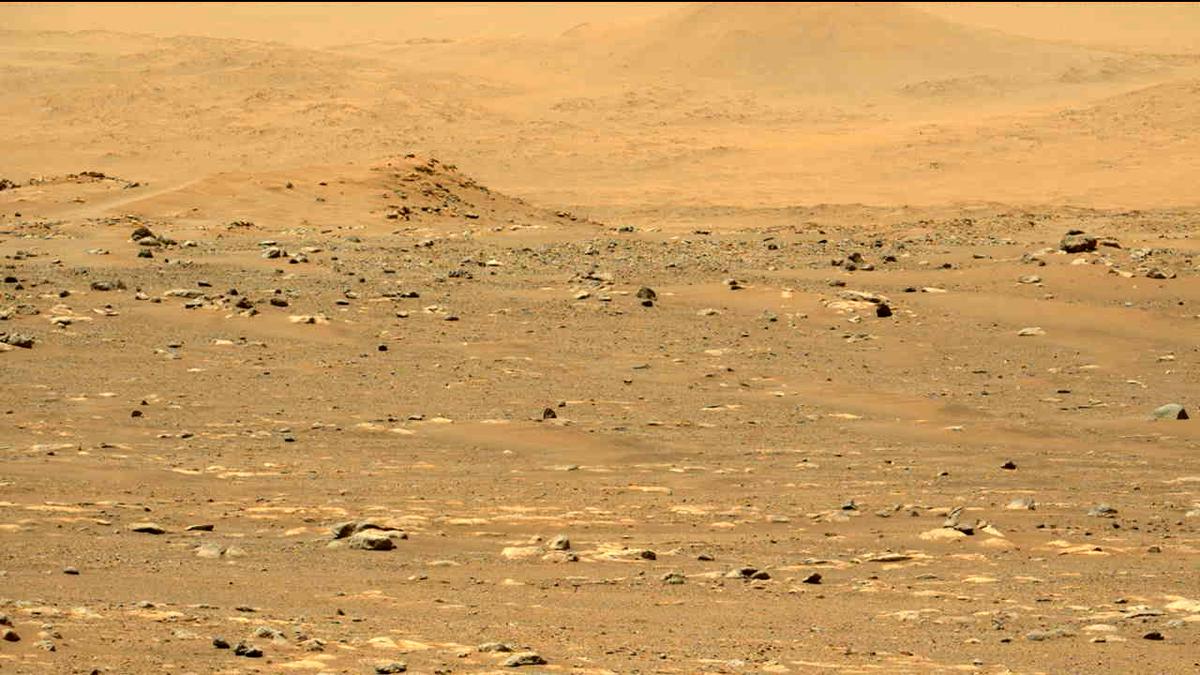 This image was taken by MCZ_LEFT onboard NASA's Mars rover Perseverance on Sol 31
