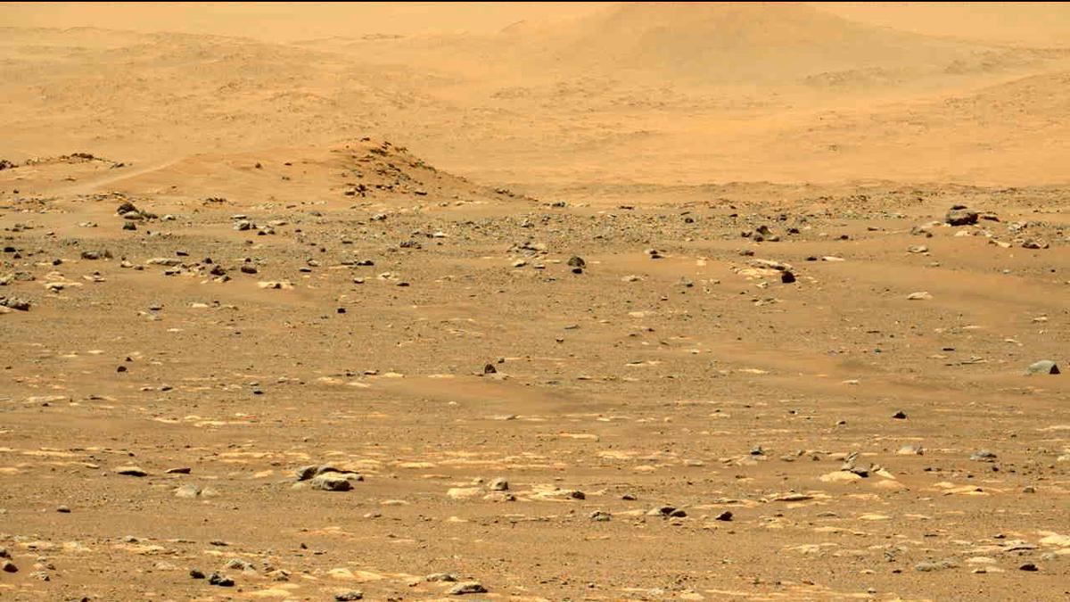 This image was taken by MCZ_LEFT onboard NASA's Mars rover Perseverance on Sol 31