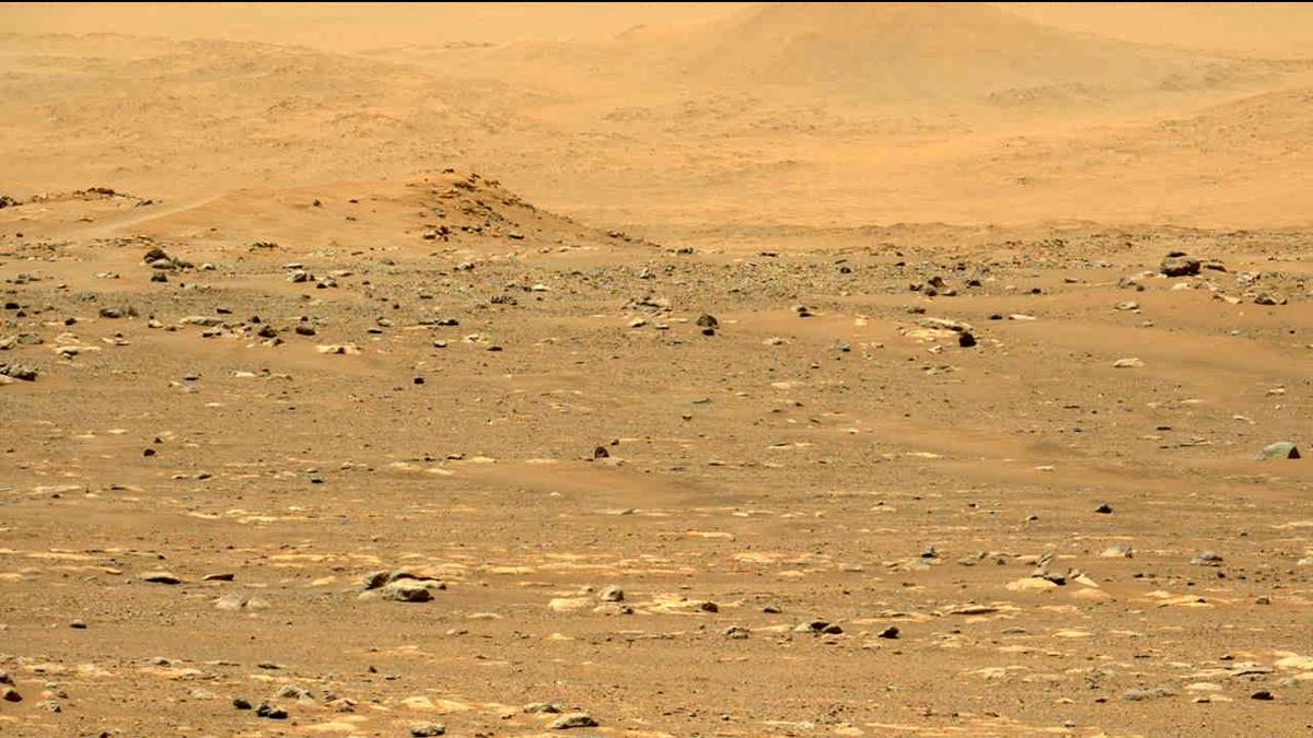 This image was taken by MCZ_LEFT onboard NASA's Mars rover Perseverance on Sol 31