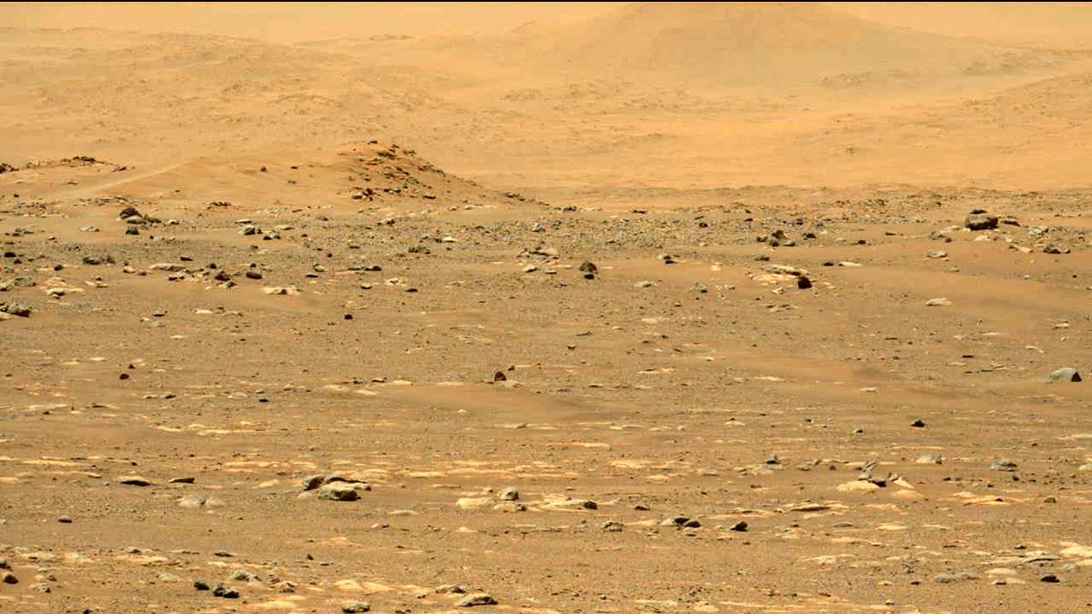 This image was taken by MCZ_LEFT onboard NASA's Mars rover Perseverance on Sol 31