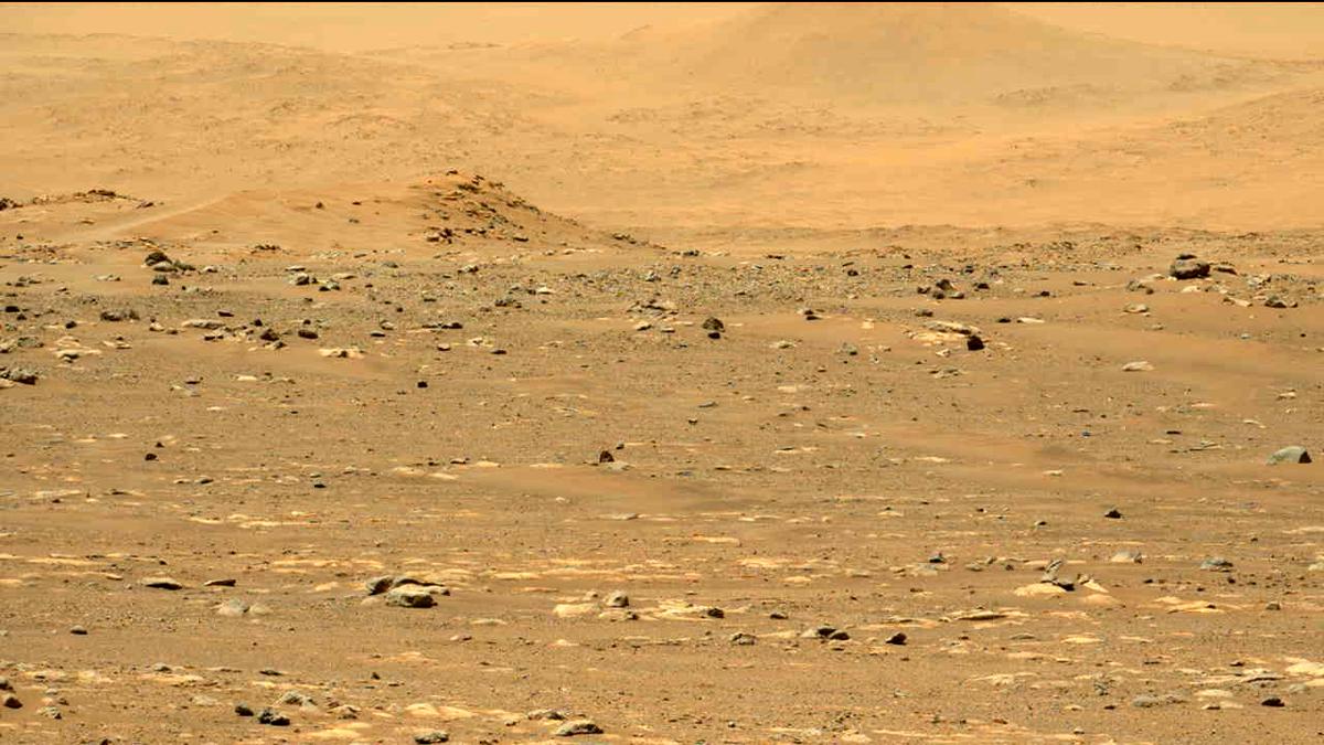 This image was taken by MCZ_LEFT onboard NASA's Mars rover Perseverance on Sol 31