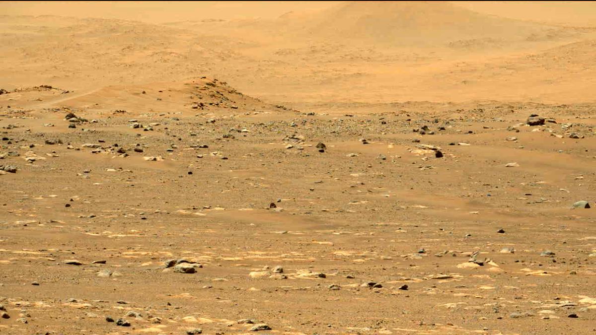 This image was taken by MCZ_LEFT onboard NASA's Mars rover Perseverance on Sol 31