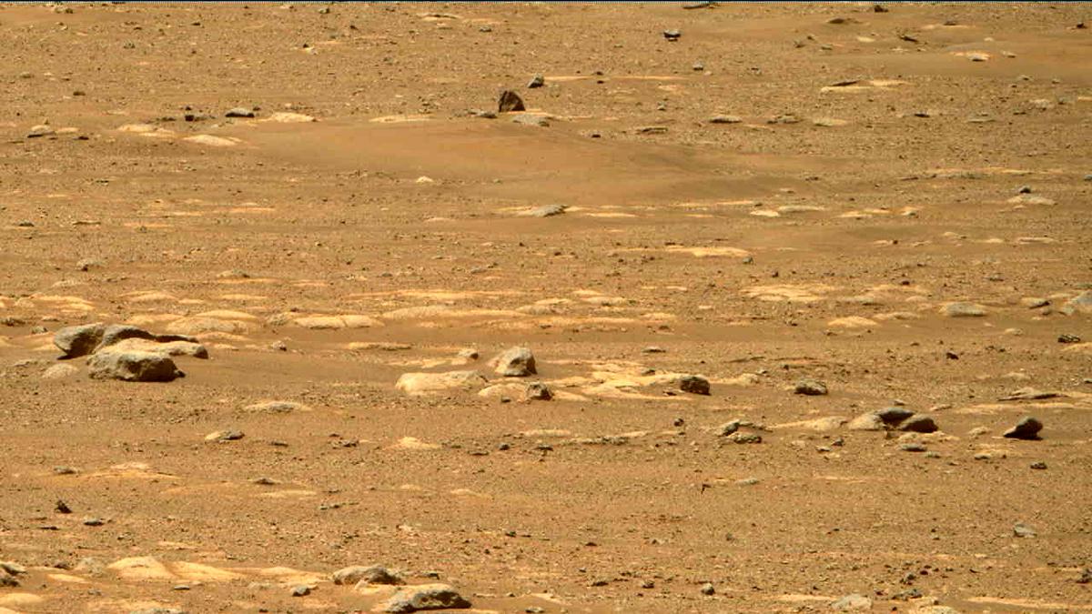 This image was taken by MCZ_RIGHT onboard NASA's Mars rover Perseverance on Sol 31
