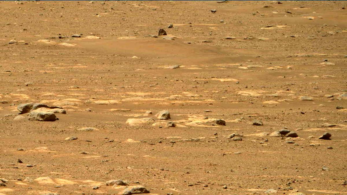 This image was taken by MCZ_RIGHT onboard NASA's Mars rover Perseverance on Sol 31