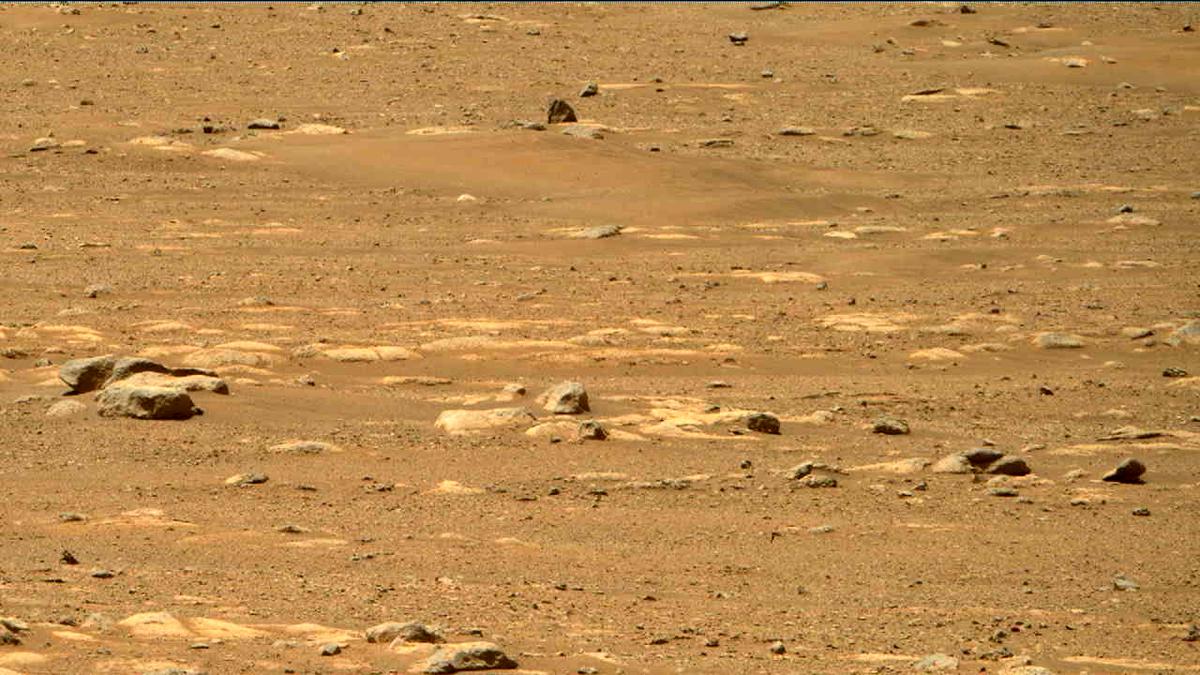 This image was taken by MCZ_RIGHT onboard NASA's Mars rover Perseverance on Sol 31