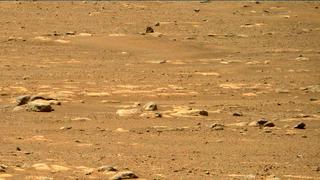 View image taken on Mars, Mars Perseverance Sol 31: Right Mastcam-Z Camera