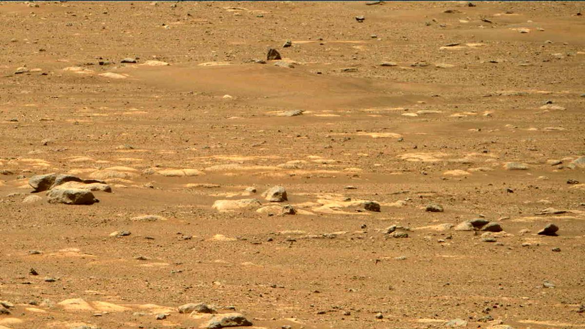 This image was taken by MCZ_RIGHT onboard NASA's Mars rover Perseverance on Sol 31