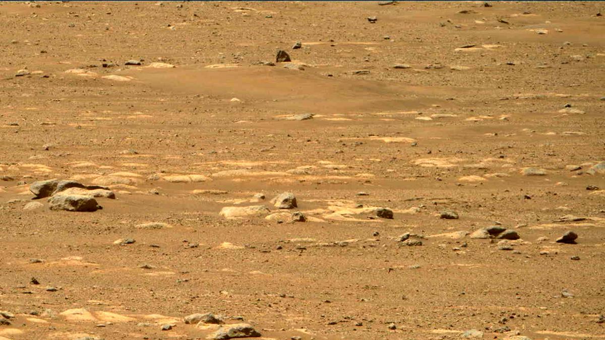 This image was taken by MCZ_RIGHT onboard NASA's Mars rover Perseverance on Sol 31