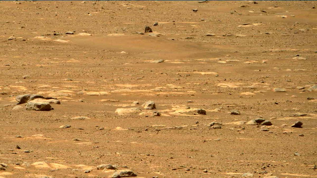 This image was taken by MCZ_RIGHT onboard NASA's Mars rover Perseverance on Sol 31