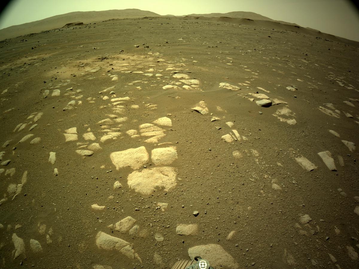 This image was taken by NAVCAM_LEFT onboard NASA's Mars rover Perseverance on Sol 32
