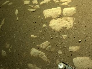 View image taken on Mars, Mars Perseverance Sol 32: Right Navigation Camera (Navcam)