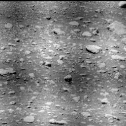View image taken on Mars, Mars Perseverance Sol 32: Right Mastcam-Z Camera