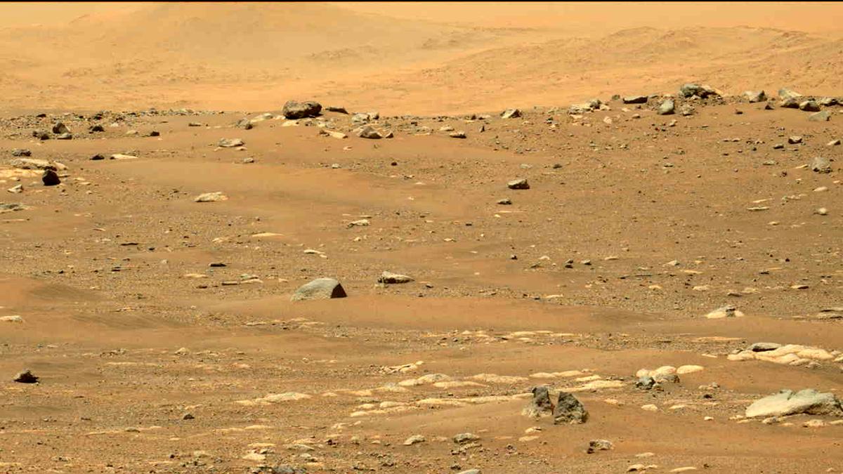 This image was taken by MCZ_LEFT onboard NASA's Mars rover Perseverance on Sol 33
