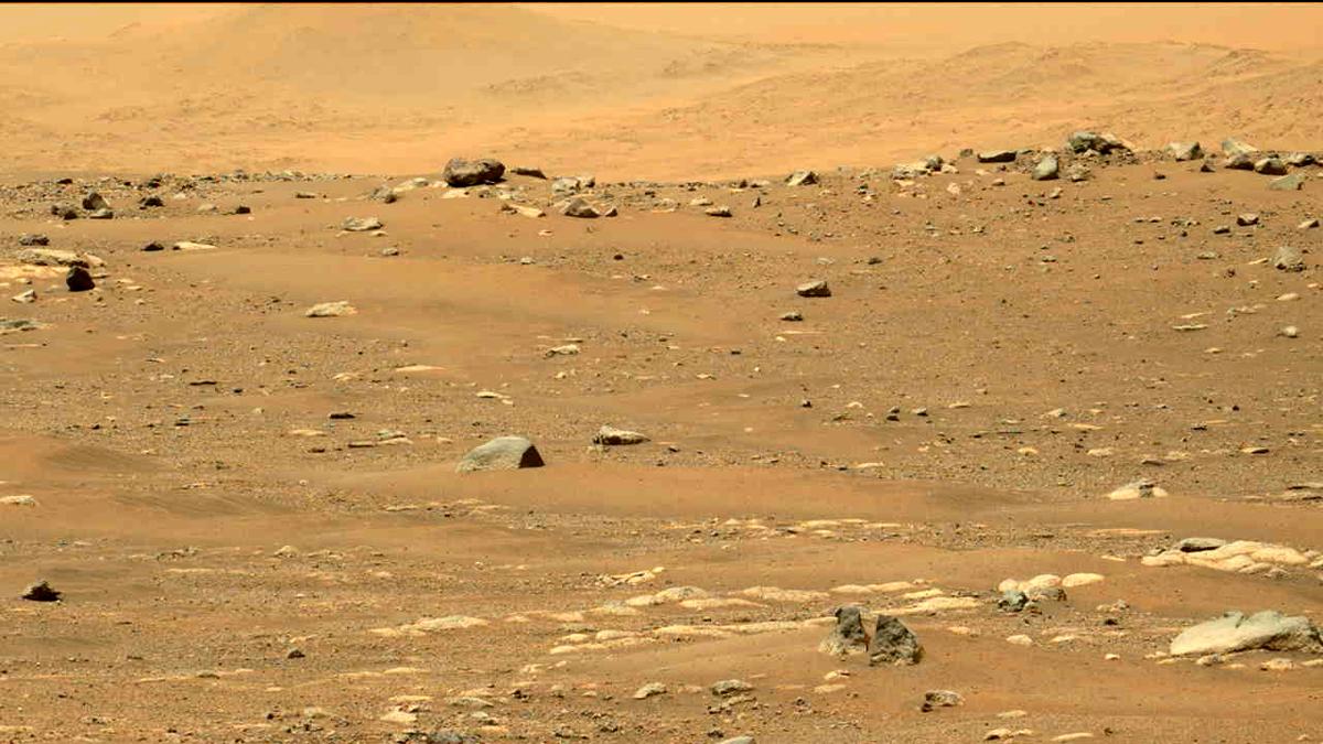 This image was taken by MCZ_LEFT onboard NASA's Mars rover Perseverance on Sol 33