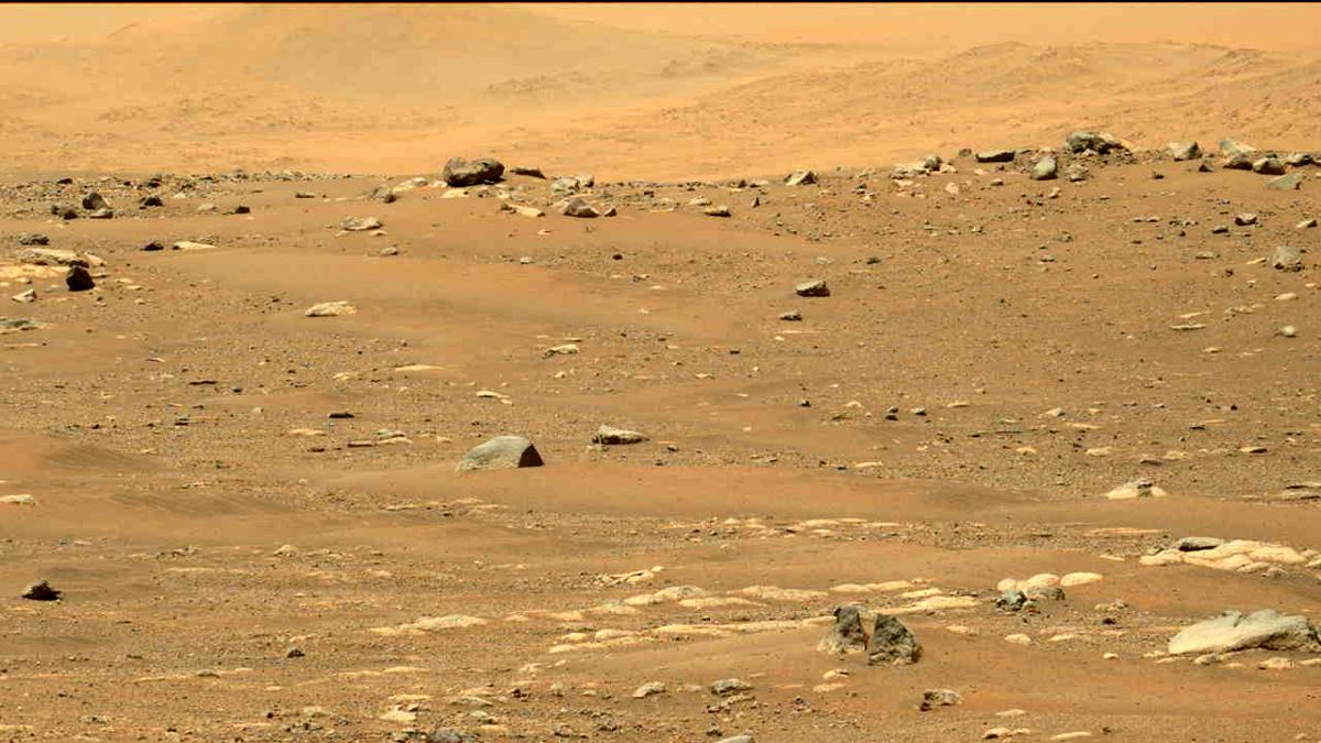This image was taken by MCZ_LEFT onboard NASA's Mars rover Perseverance on Sol 33