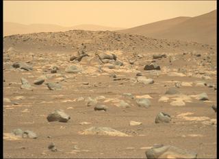 View image taken on Mars, Mars Perseverance Sol 36: Left Mastcam-Z Camera
