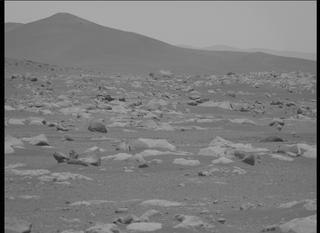 View image taken on Mars, Mars Perseverance Sol 36: Left Mastcam-Z Camera