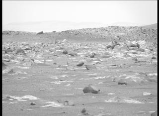 View image taken on Mars, Mars Perseverance Sol 36: Right Mastcam-Z Camera