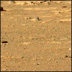 This image was taken by MCZ_LEFT onboard NASA's Mars rover Perseverance on Sol 37