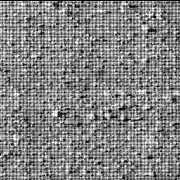 This image was taken by MCZ_LEFT onboard NASA's Mars rover Perseverance on Sol 37