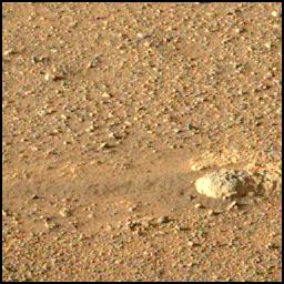 This image was taken by MCZ_LEFT onboard NASA's Mars rover Perseverance on Sol 37