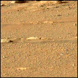 This image was taken by MCZ_LEFT onboard NASA's Mars rover Perseverance on Sol 37