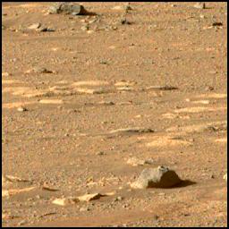 This image was taken by MCZ_RIGHT onboard NASA's Mars rover Perseverance on Sol 37